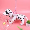 Factory direct sales of new pet chest and back models Item Picture